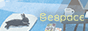 escape